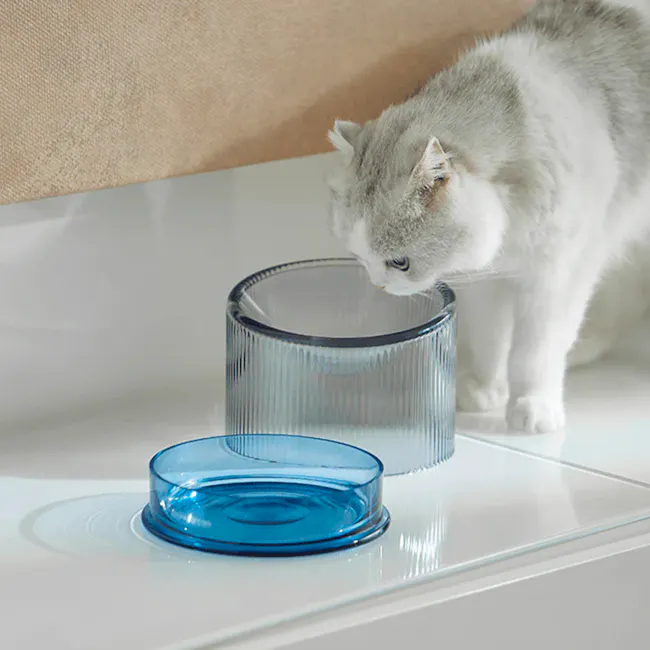 FURRYTAIL Fooddict Elevated Glass Feeding Bowl - Blue - 2 - White fluffy cat, blue bowl, transparent glass, indoor setting