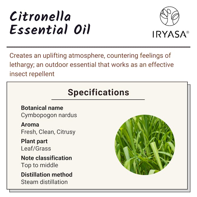 Iryasa Organic Citronella Essential Oil - 6