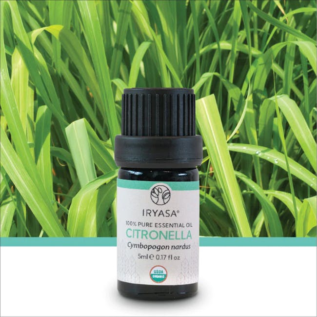 Iryasa Organic Citronella Essential Oil - 4