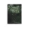 Florae Art Print on Stretched Canvas 50cm by 70cm - Areca Palm - 0