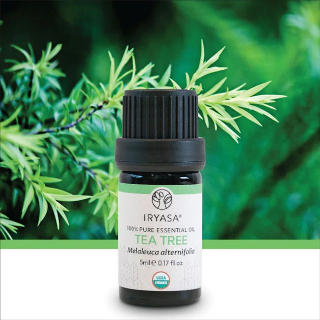 Iryasa Organic Tea Tree Essential Oil - 4