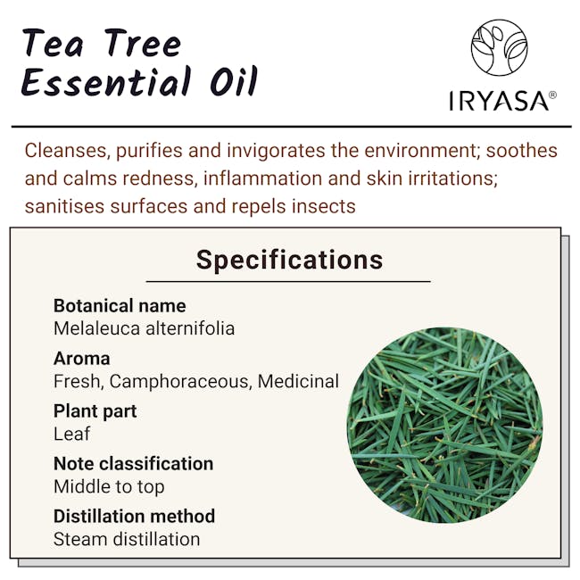Iryasa Organic Tea Tree Essential Oil - 6
