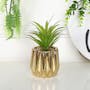 Faux Agave in Gold Planter - 1