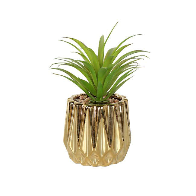 Faux Agave in Gold Planter - 0