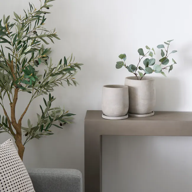 Minji Concrete Planter with Saucer - Large - 2