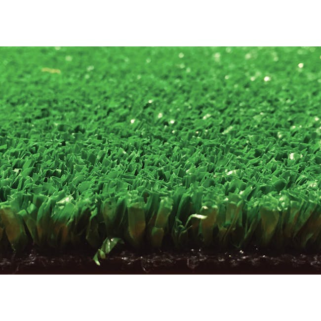 Ultraturf Grass Carpet - 1