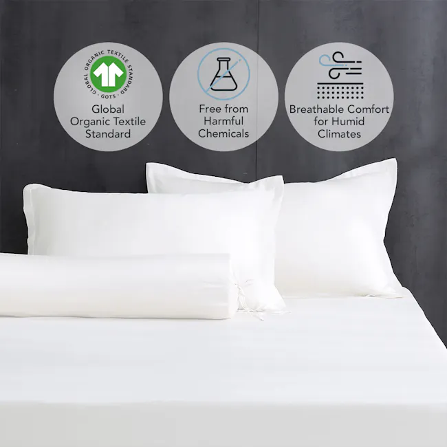 Robinsons Pure Organic Cotton Fitted Sheet Set Heritage Collection - White (4 Sizes) - 5