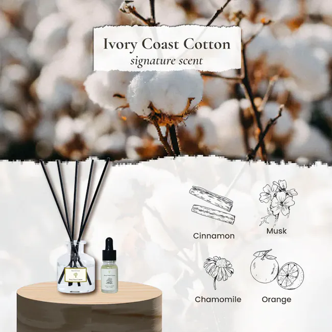 Pristine Aroma Reed Diffuser 50ml - Ivory Coast Cotton (Signature Scent) - 2 - Ivory Coast Cotton, signature scent, cotton