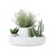 Fountain Ceramic Planter - White - 6