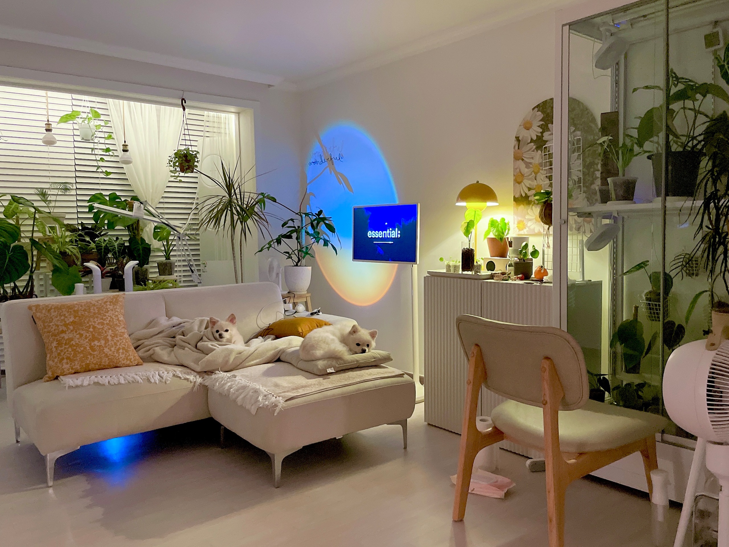 Customer home photo 14