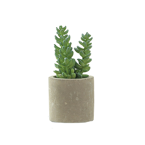 Faux Tall Sedum in Concrete Planter