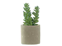 Faux Tall Sedum in Concrete Planter
