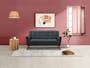 Stanley 2 Seater Sofa - Orion - 2