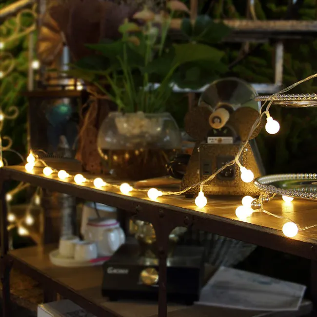 Mini Globe String Lights 6m - Warm - 3 - warm fairy lights, vintage gramophone, plant in the background, decorative string