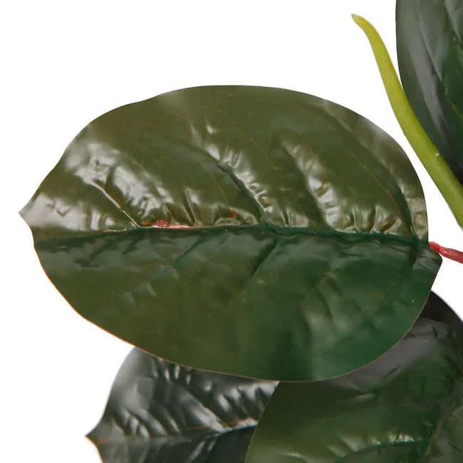 Potted Faux Dark Rubber Plant 70 cm - 3 - Green leaf with visible veins, glossy surface, red stem, curled leaf, glossy
