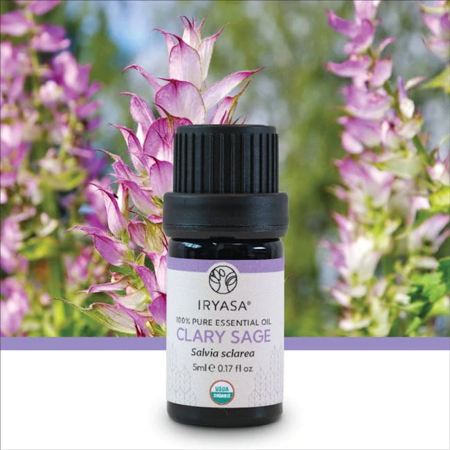 Iryasa Organic Clary Sage Essential Oil - 4