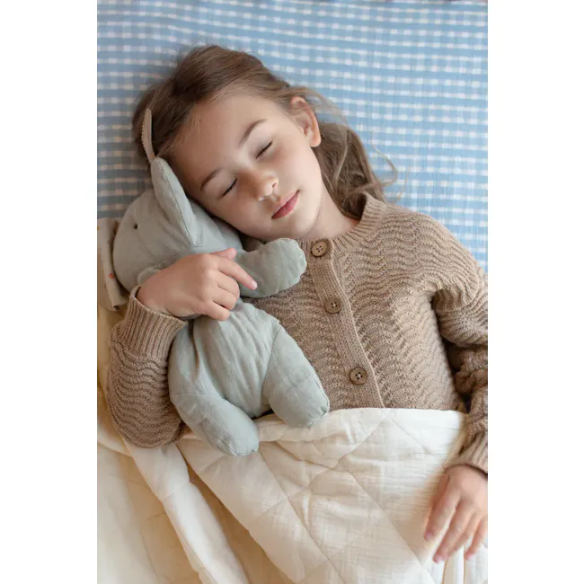 Soft Spot Soft Crib Sheet - Cottage - 4