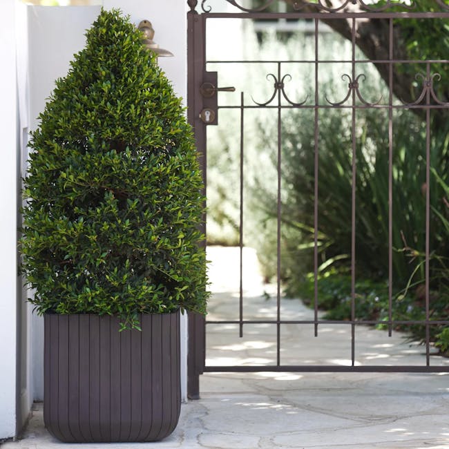 Cube Floor Planter Wood - Brown - 6