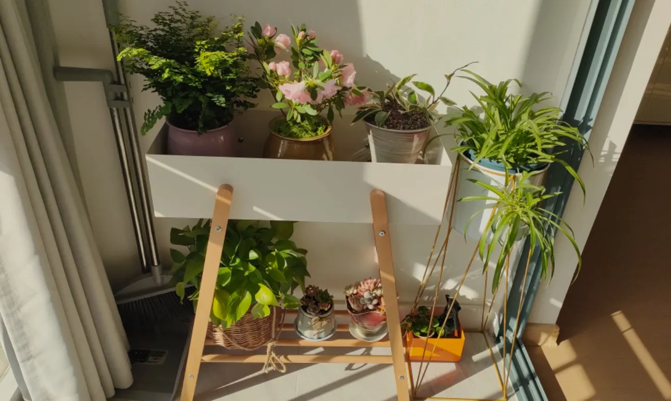 Plisse Planter Rack - 15