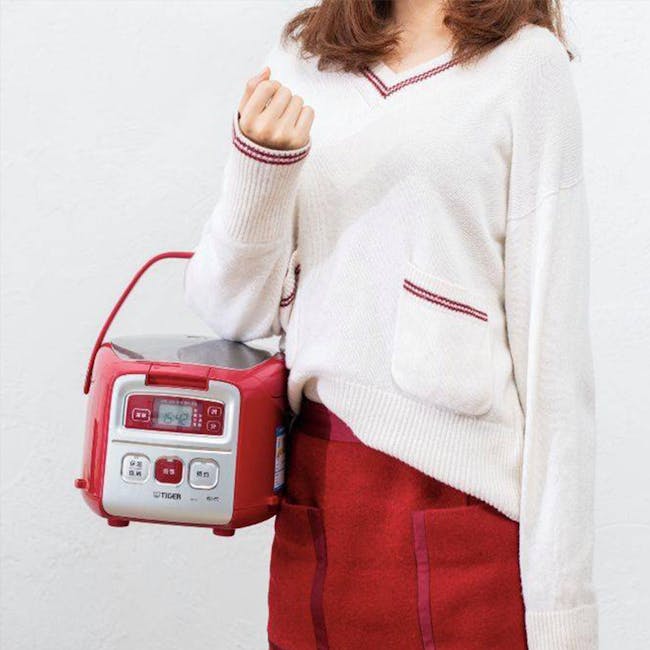 Tiger Microcomputer Controlled Rice Cooker 0.55L (Cool Black) - 4