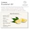 Iryasa Organic Lemon Essential Oil - 6