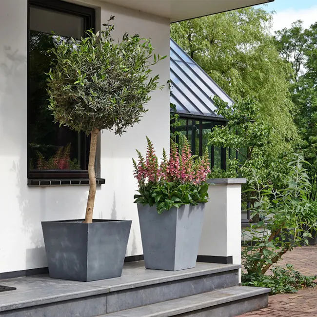 Beton Square Planter 48cm - 2
