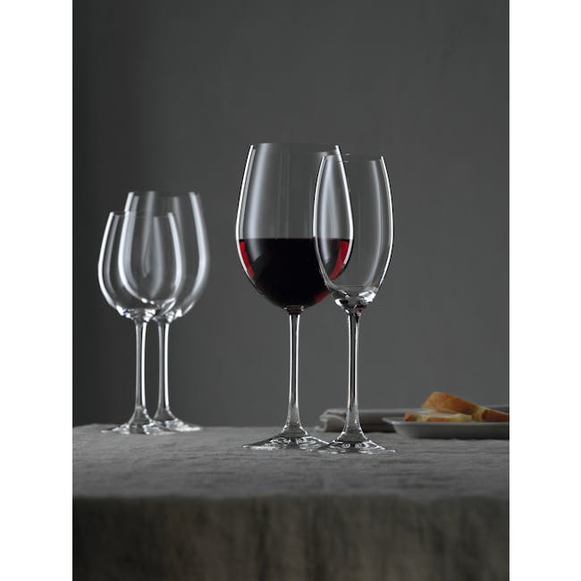 Nachtmann Vivendi Lead Free Crystal White Wine Stemglass 4pcs Set - 2