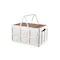 Blake Foldable Storage Box - Ivory