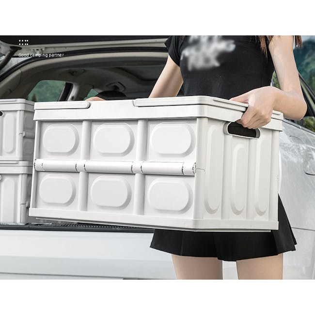 Blake Foldable Storage Box - Ivory - 7