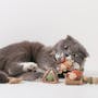 Pidan Catnip & Silver Vine Cat Toy - Kebab - 2