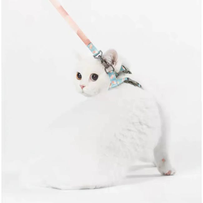 Pidan Cat Harness with Matching Leash - Dotty - 1
