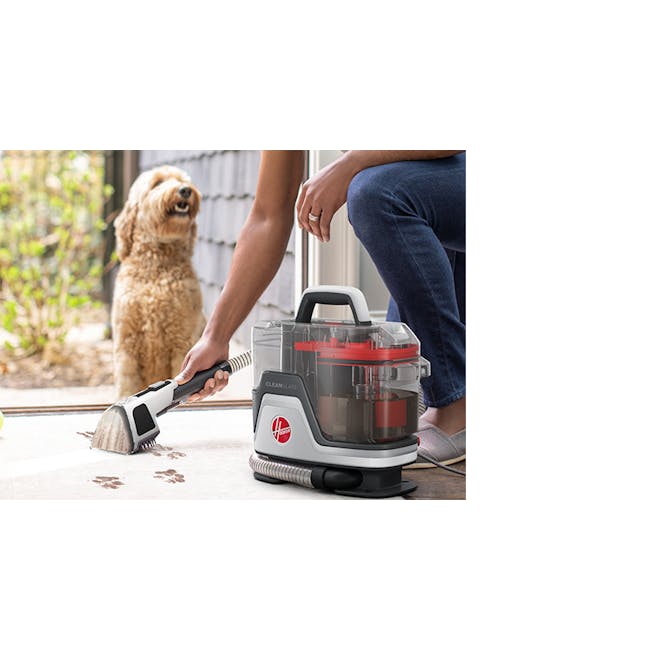 Hoover Clean Slate Corded Spot Cleaner - 4 - Vacuum cleaner, dog, person, cleaning, floor, carpet, pet, grooming, pet care