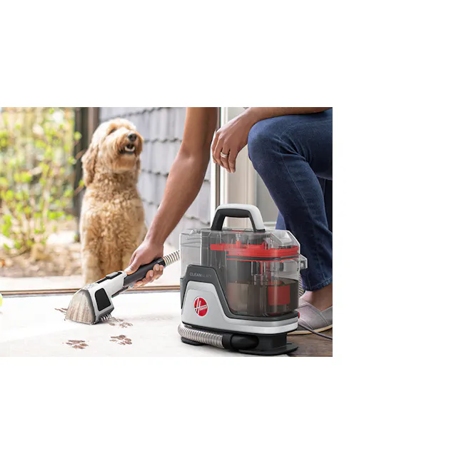Hoover Clean Slate Corded Spot Cleaner - 4 - Vacuum cleaner, dog, person, cleaning, floor, carpet, pet, grooming, pet care