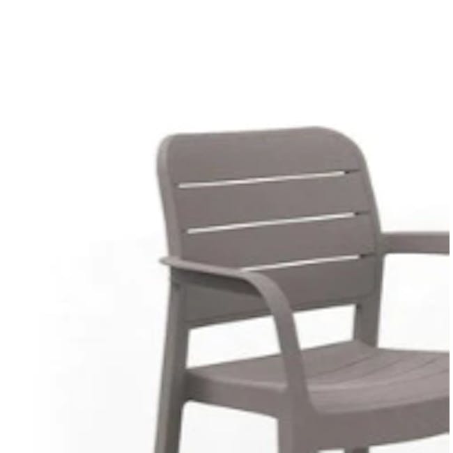 Tisara Chair - Capuccino  - 2