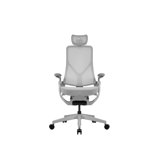 TT Aeroflex Ergochair - Ashy Grey - 1