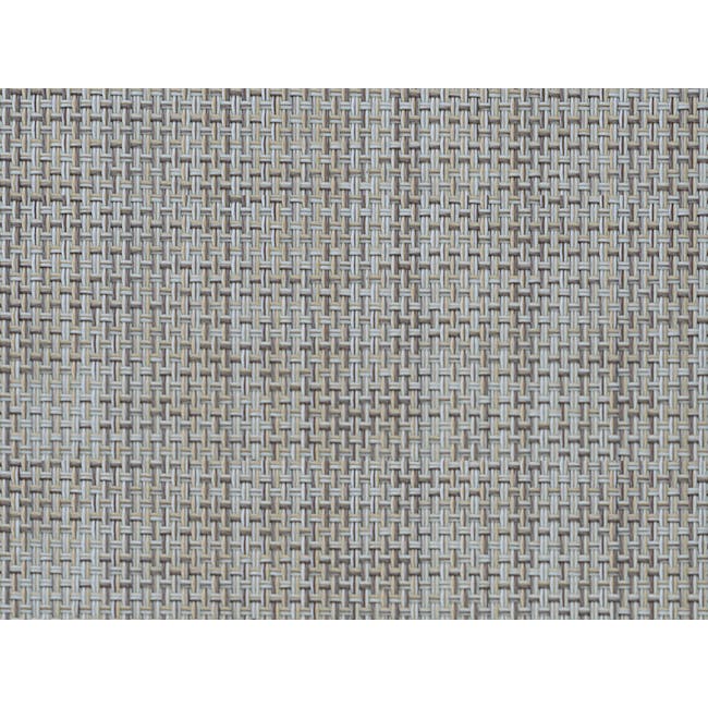 TREESKIN Placemat - Taupe - 1
