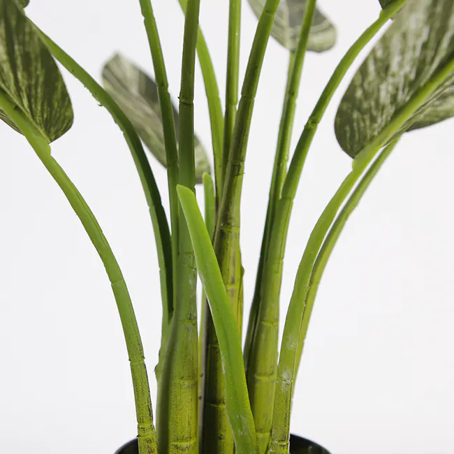 Potted Faux Alpinia Plant 80 cm - 3 - Green bamboo plant, close-up view, slender leaves, vibrant green color, healthy