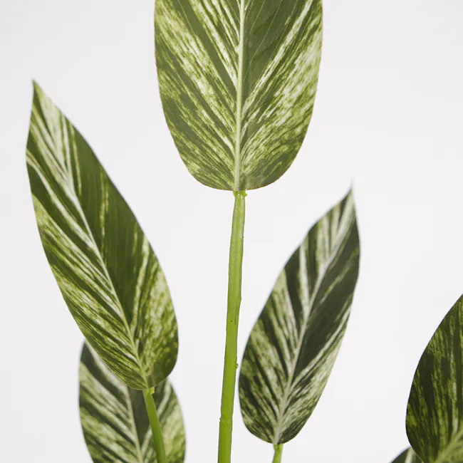 Potted Faux Alpinia Plant 80 cm - 5 - Green leaf with white variegation, close-up view, glossy surface, natural lighting