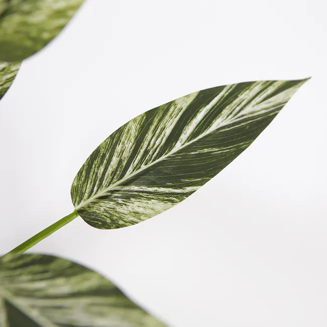 Potted Faux Alpinia Plant 80 cm - 4 - Green leaf with intricate veining, glossy surface, healthy plant, variegated pattern