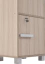 Naya 3 Door Cabinet - Ebonnese - 11