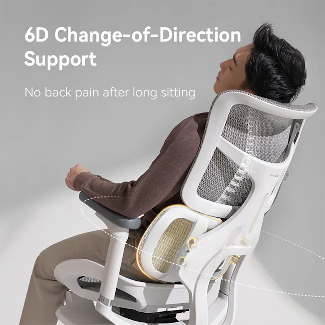Sihoo Doro S100 Ergonomic Chair With Leg Rest - Black - 8