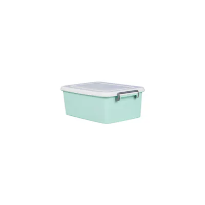 TOYOGO Legent Low Rise Storage Box - 29L (Mint)