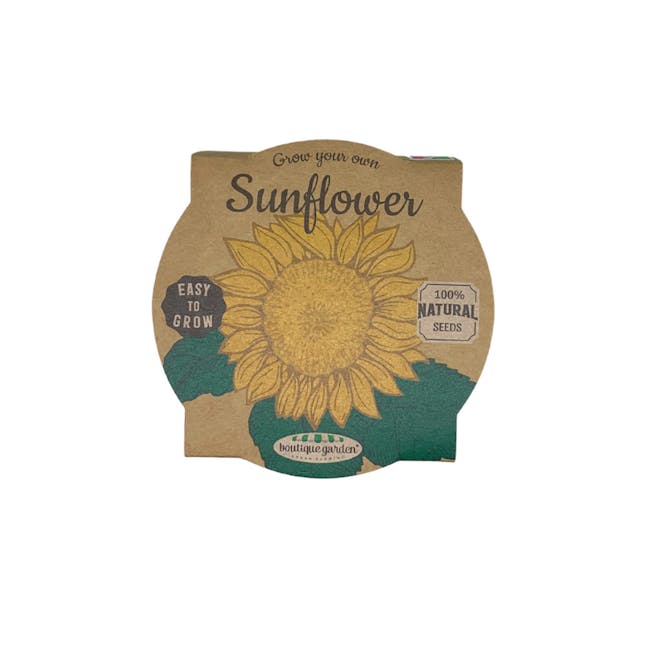 Pastel Coloured Pot With Chalk: Sunflower - 1