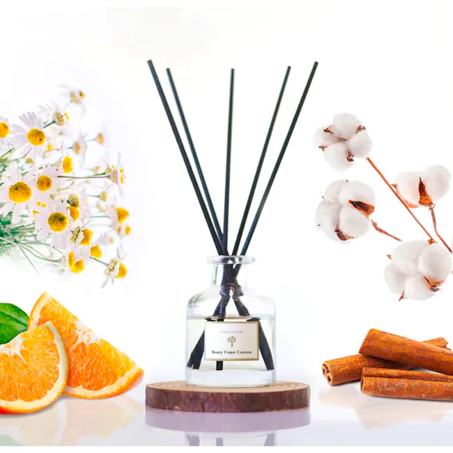 Pristine Aroma Reed Diffuser 50ml - Ivory Coast Cotton (Signature Scent) - 1 - Cotton flowers, black essential oils, white