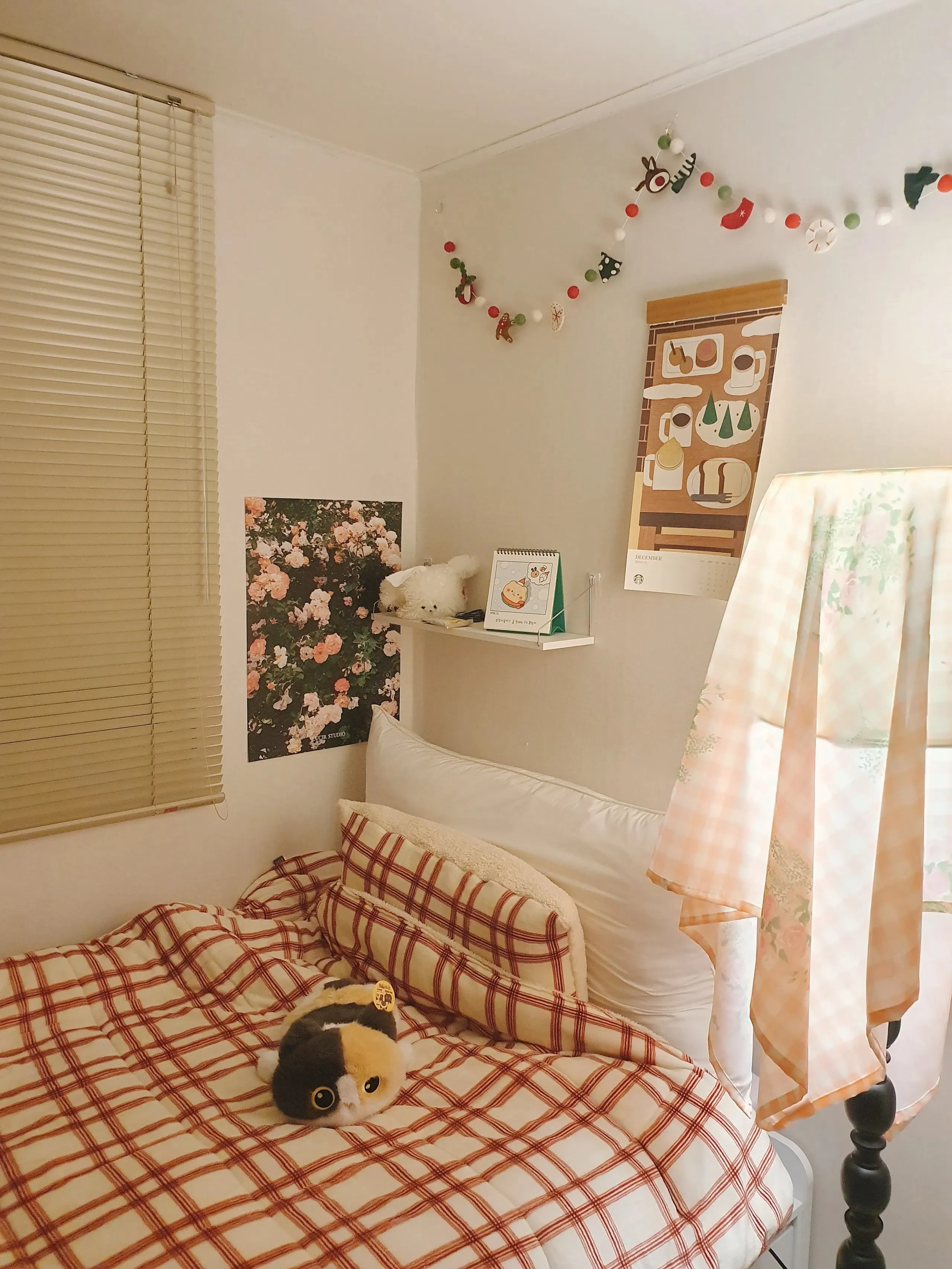 Customer home photo 10