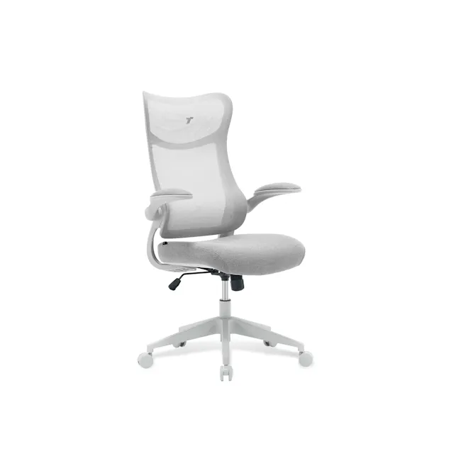 TT AIRFLEX V2 Ergochair - Ashy Grey - 1
