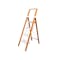 HOUZE LIFE Woodgrain 4 Tier Ladder - 0