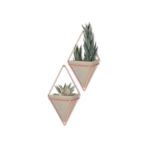 Trigg Small Wall Vessel (Set of 2) - Copper
