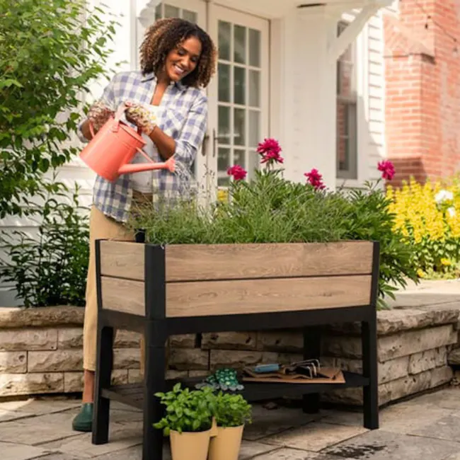 Darwin Raised Garden Bed With Shelf - Ashwood - 2
