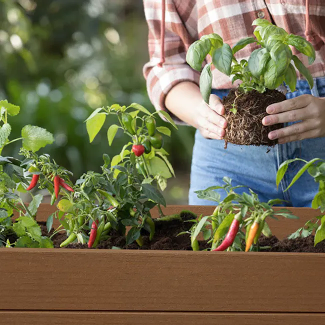 Darwin Raised Garden Bed With Shelf - Ashwood - 9